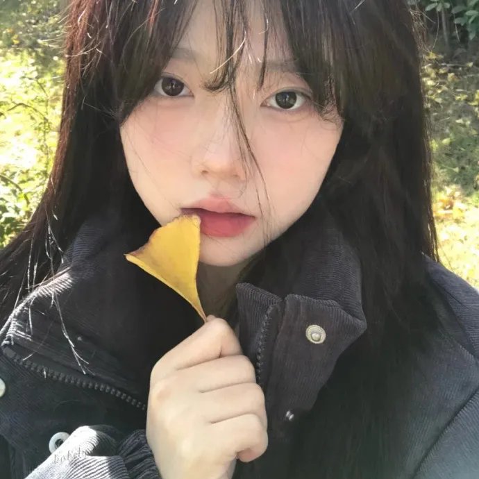 傀儡人生